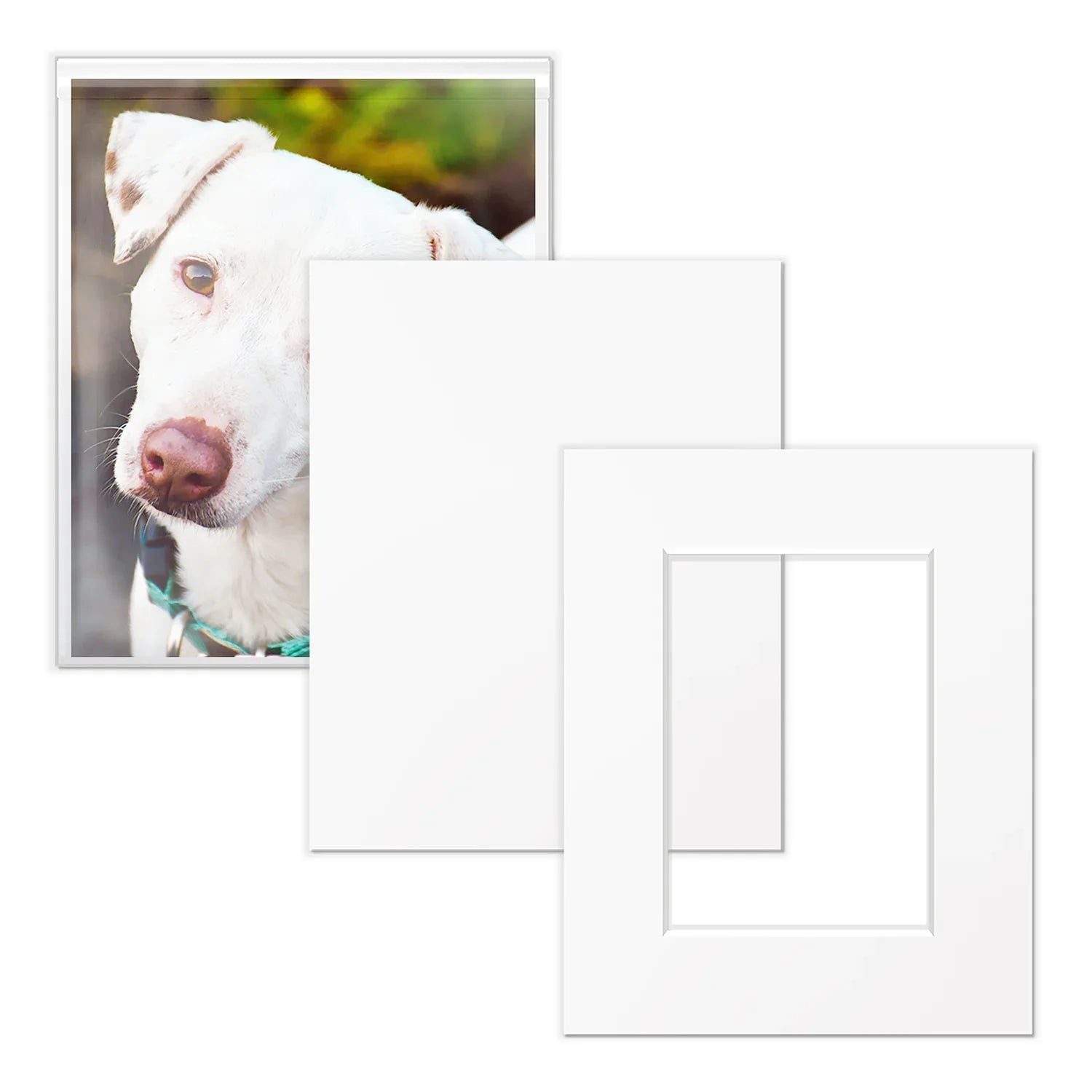 Art Show Kit - 8x10 for 5x7 Artwork