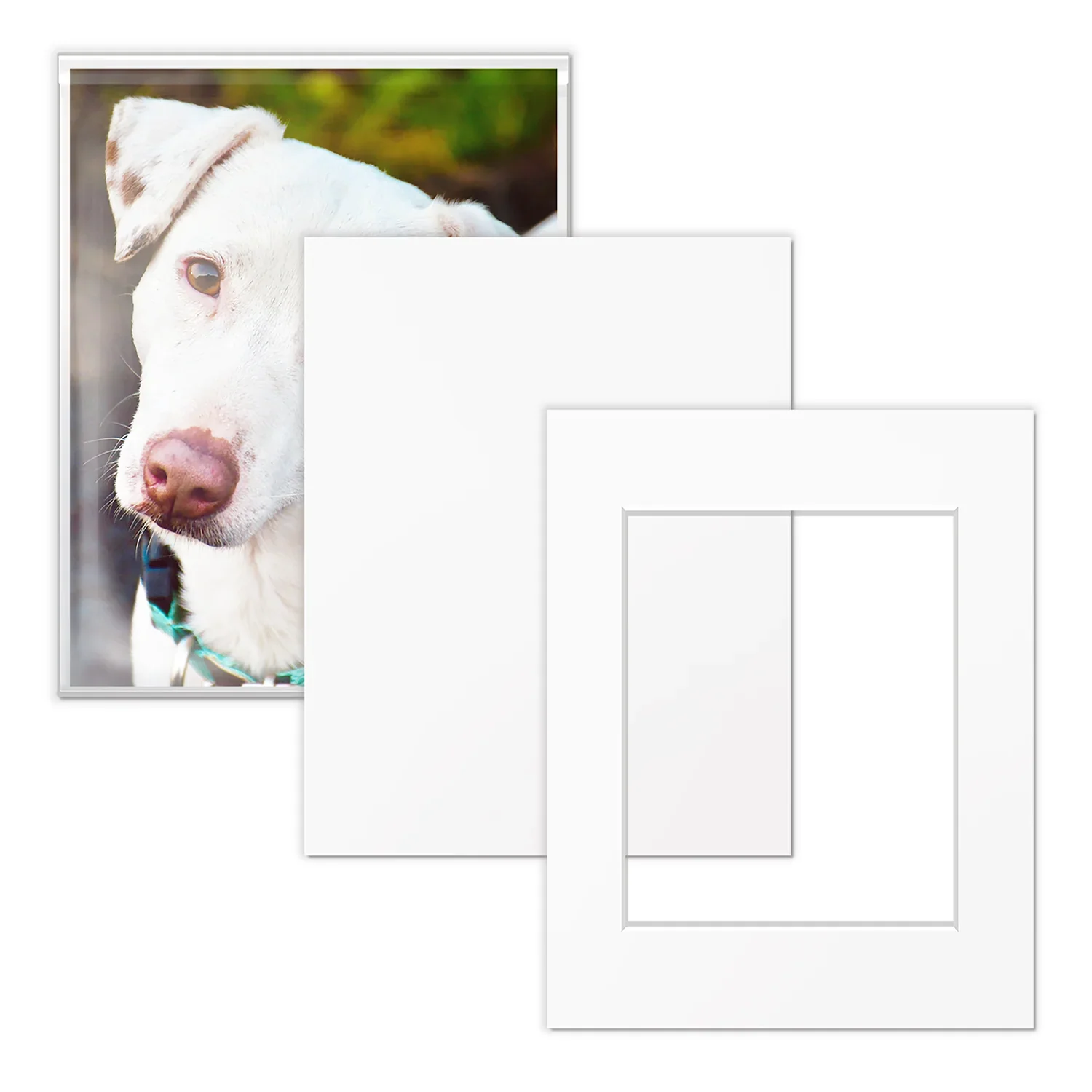 Art Show Kit - 11x14 for 8x10 Artwork