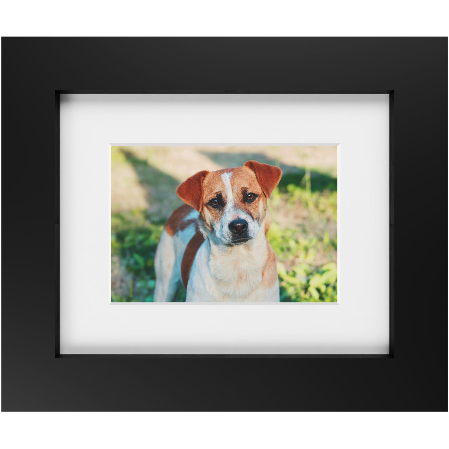 Custom 5x7 Framed Photo Print