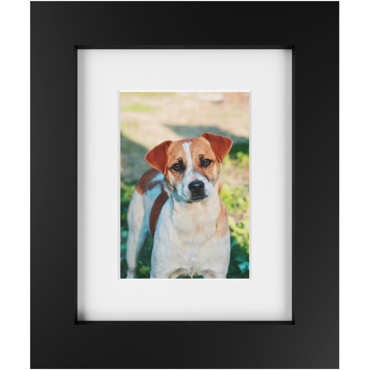 Custom 5x7 Framed Photo Print