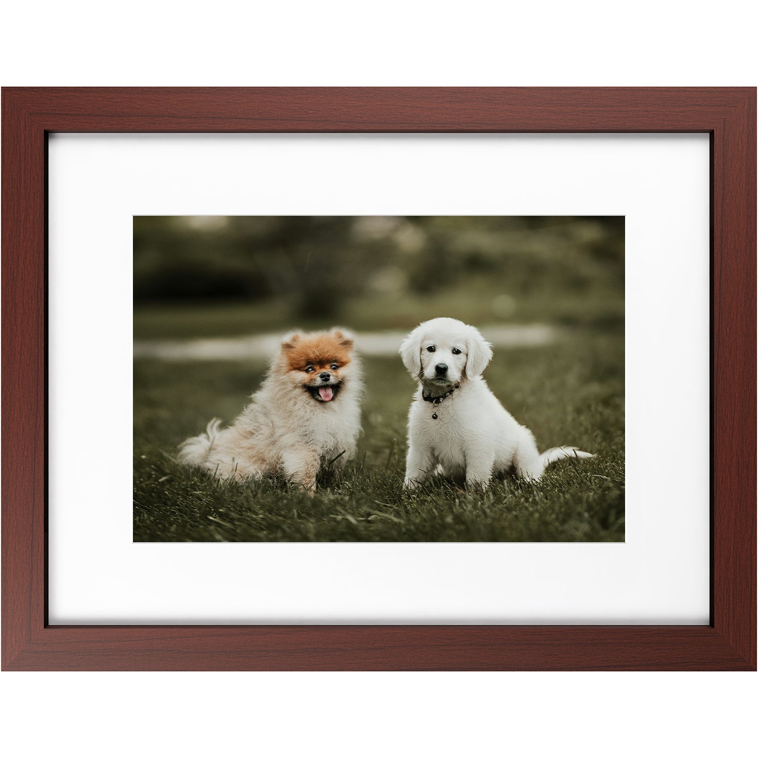 Custom 12x18 Framed Photo Print