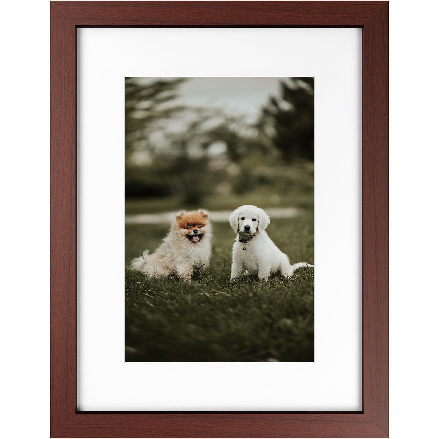 Custom 12x18 Framed Photo Print