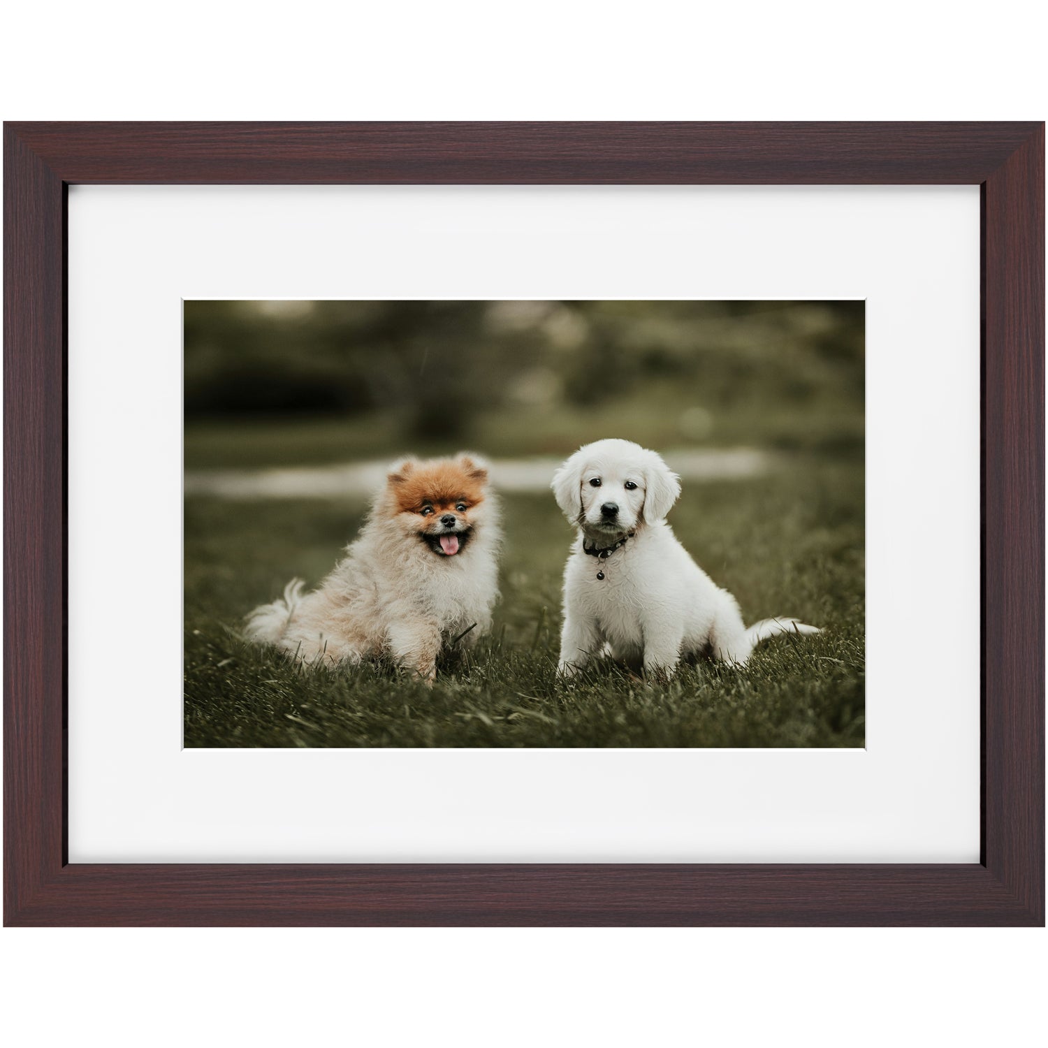 Custom 12x18 Framed Photo Print