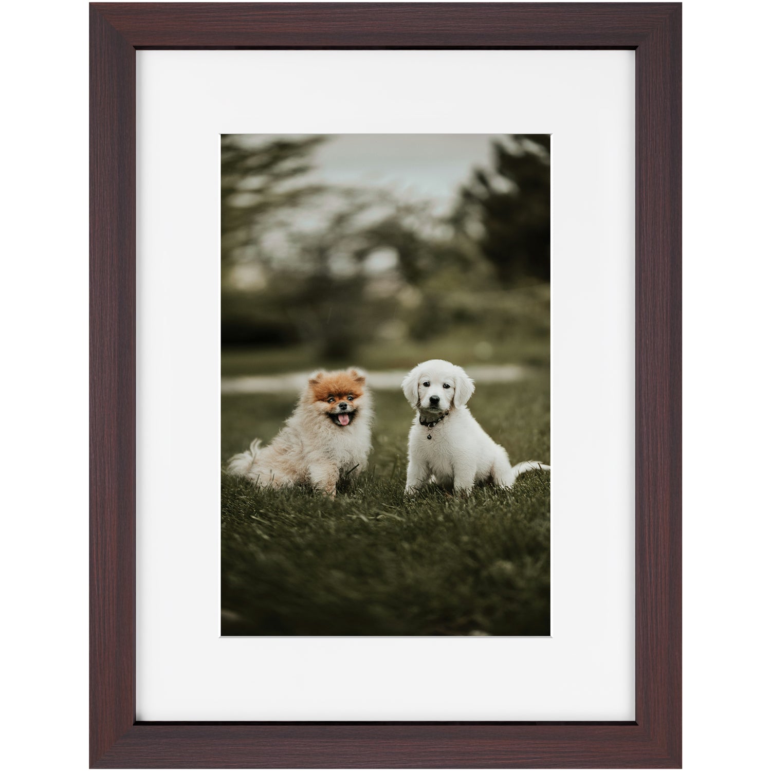 Custom 12x18 Framed Photo Print