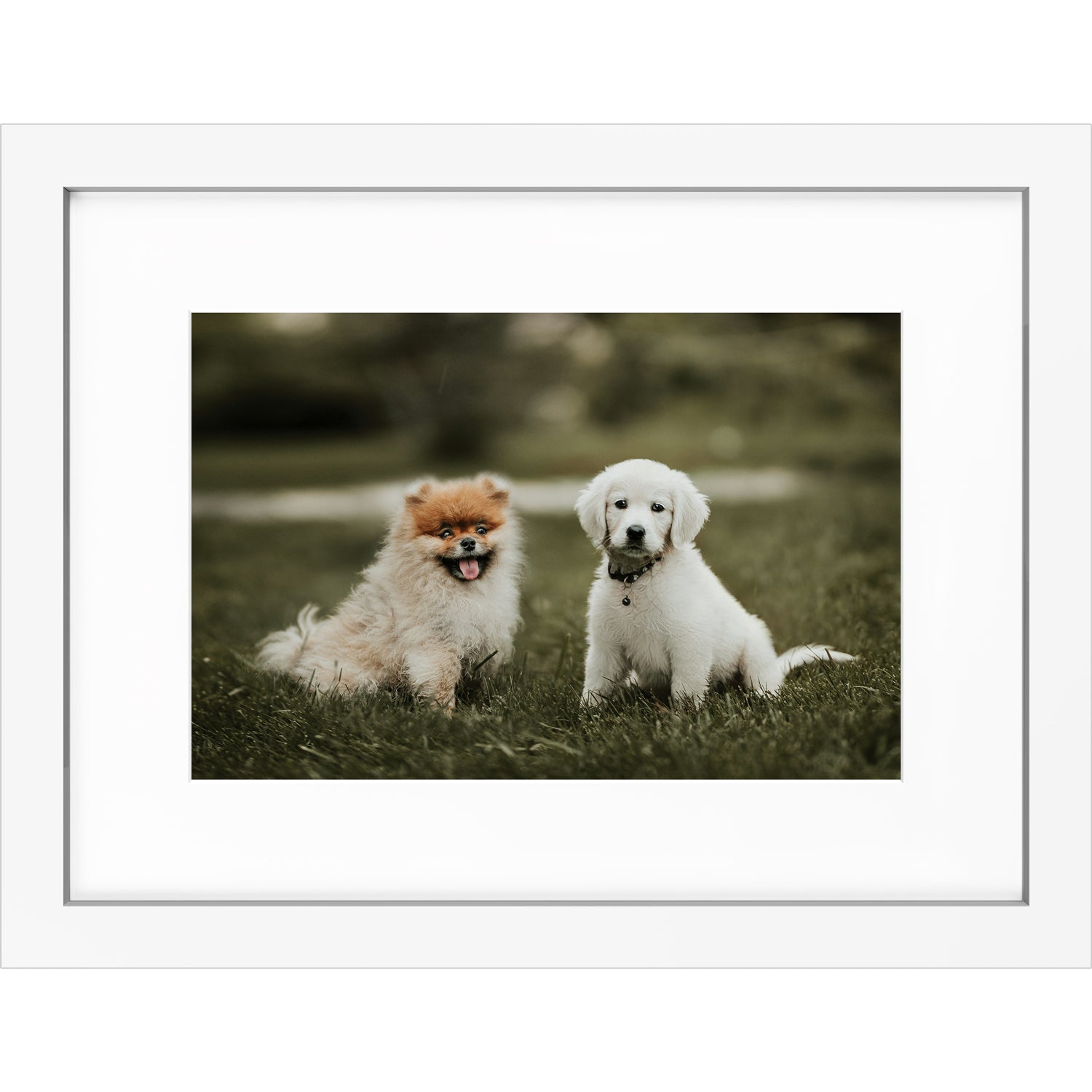 Custom 12x18 Framed Photo Print