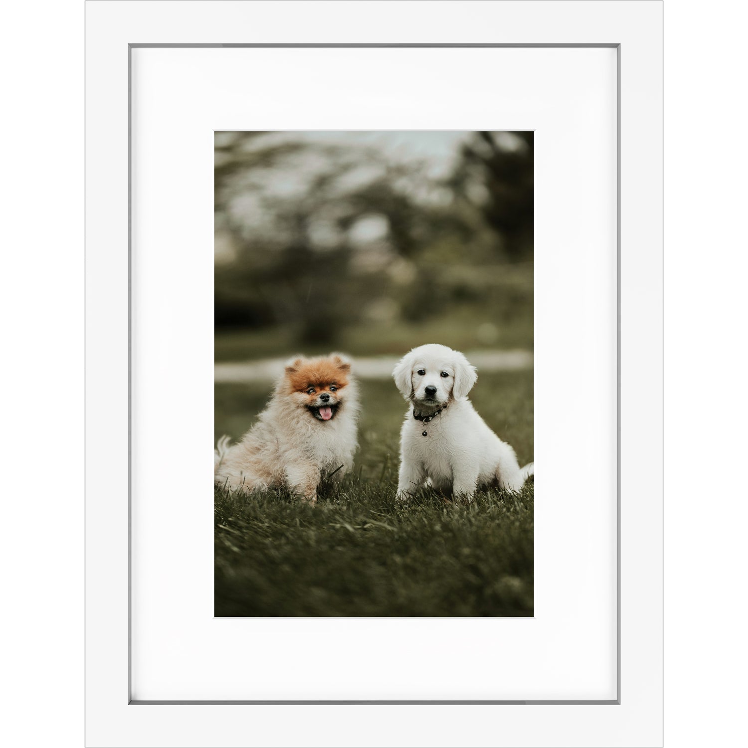 Custom 12x18 Framed Photo Print