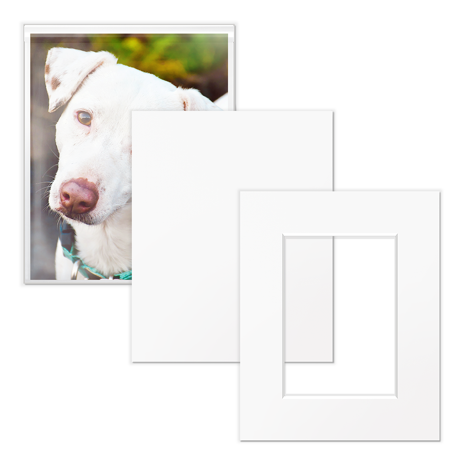 Art Show Kit - 8x10
