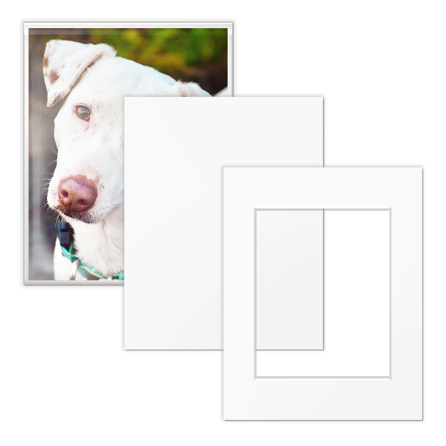 Art Show Kit - 11x14