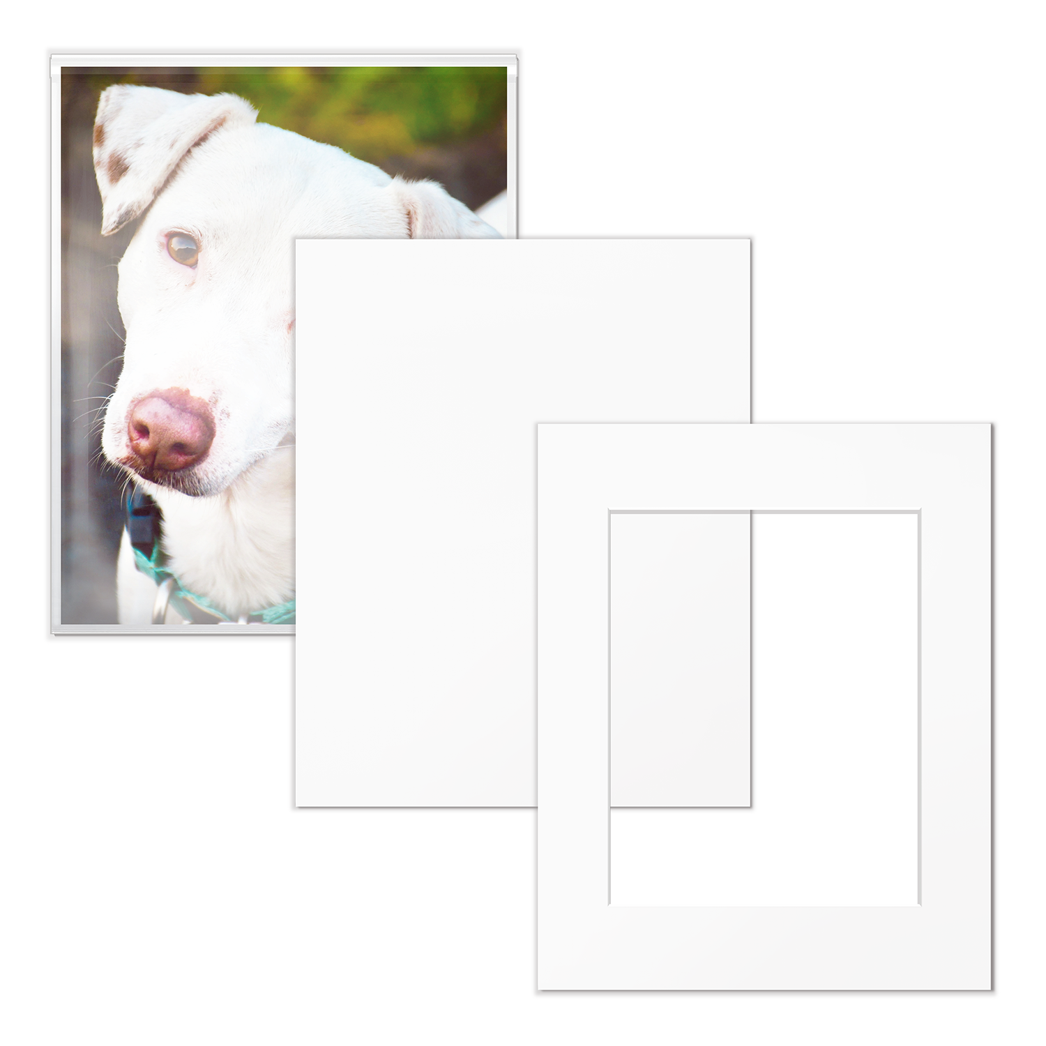 Art Show Kit - 16x20