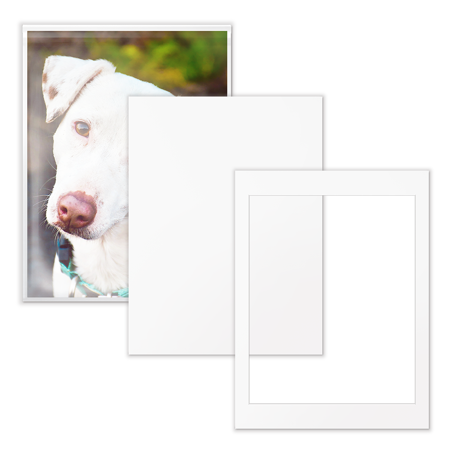 Art Show Kit - 18x24