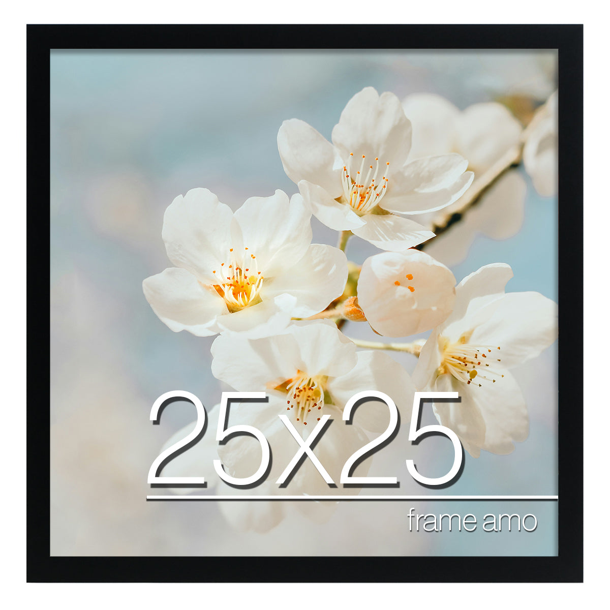 25x25 Modern Poster Frame, 1.25 Inch Wide and 1 Inch Thick Border, Acrylic Front