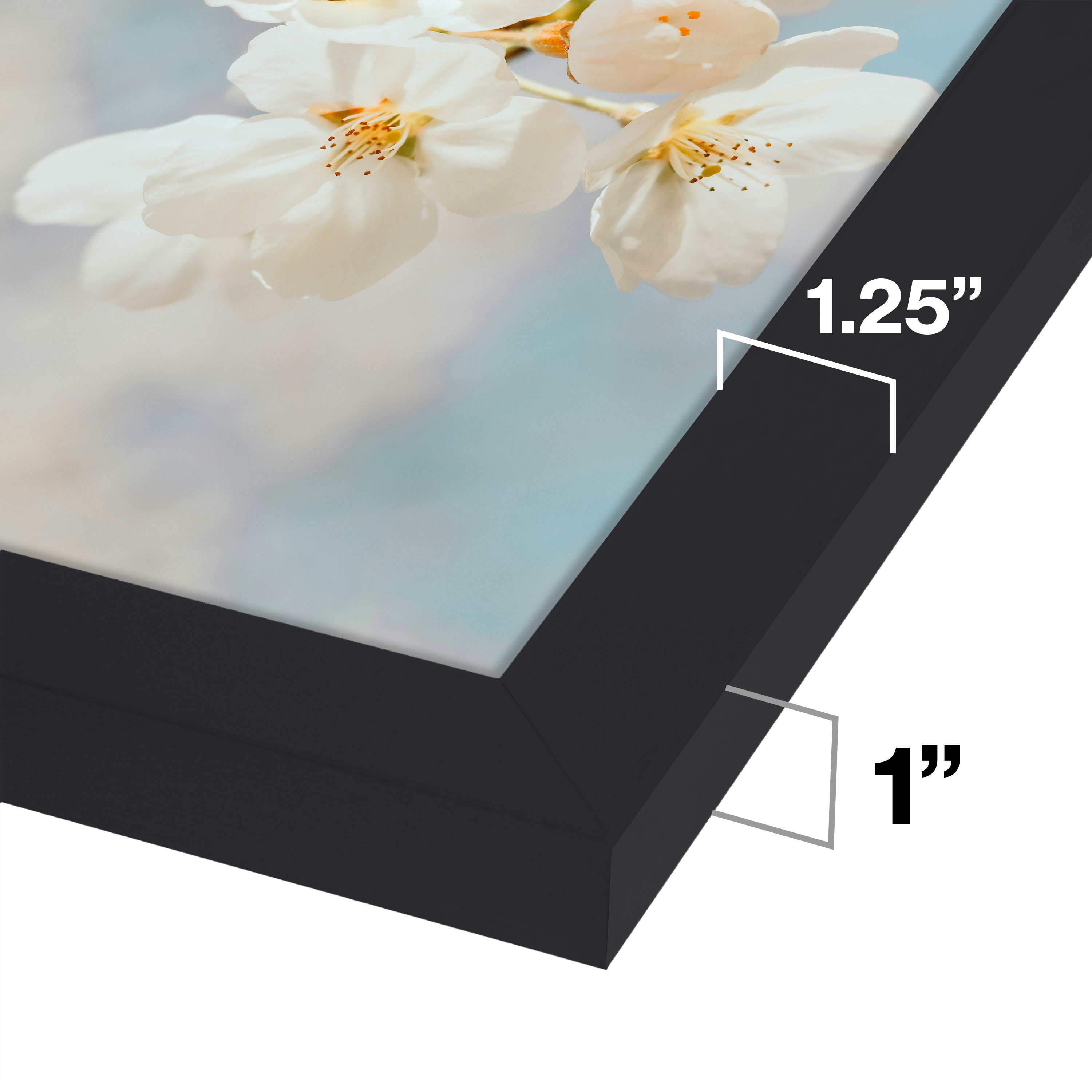 20x40 Modern Poster Frame, 1.25 Inch Wide and 1 Inch Thick Border, Acrylic Front