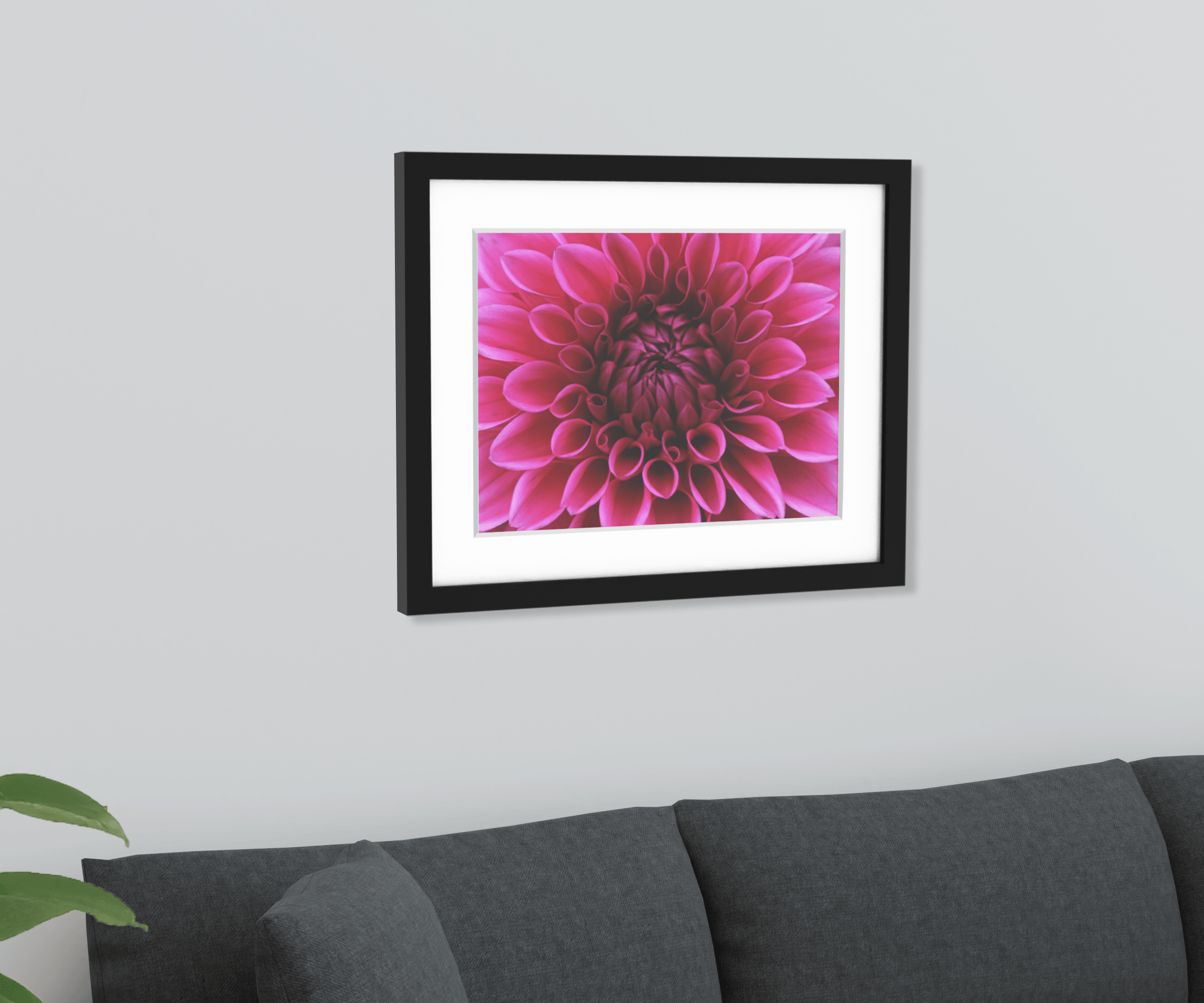 24x30 Matted Frame - Frame Amo