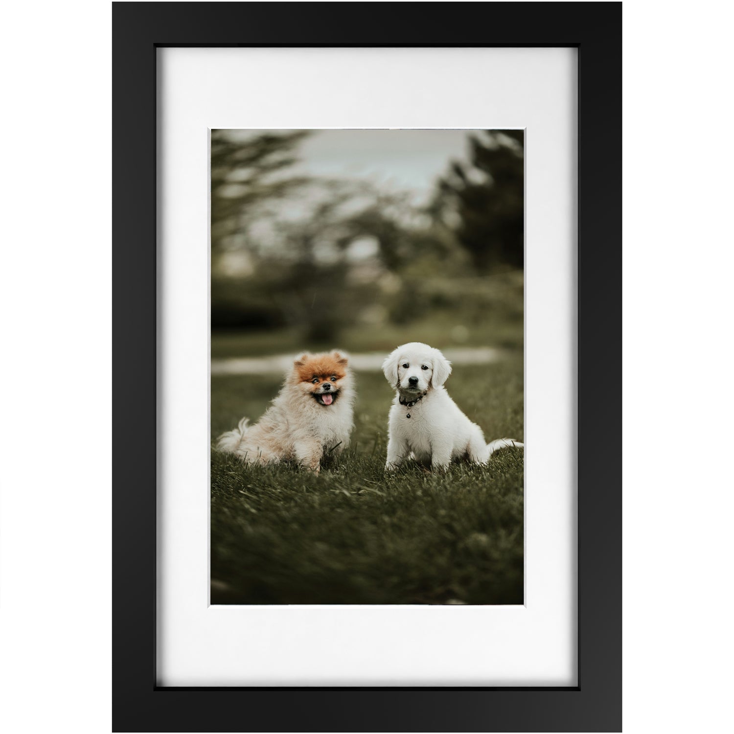Custom 12x18 Framed Photo Print
