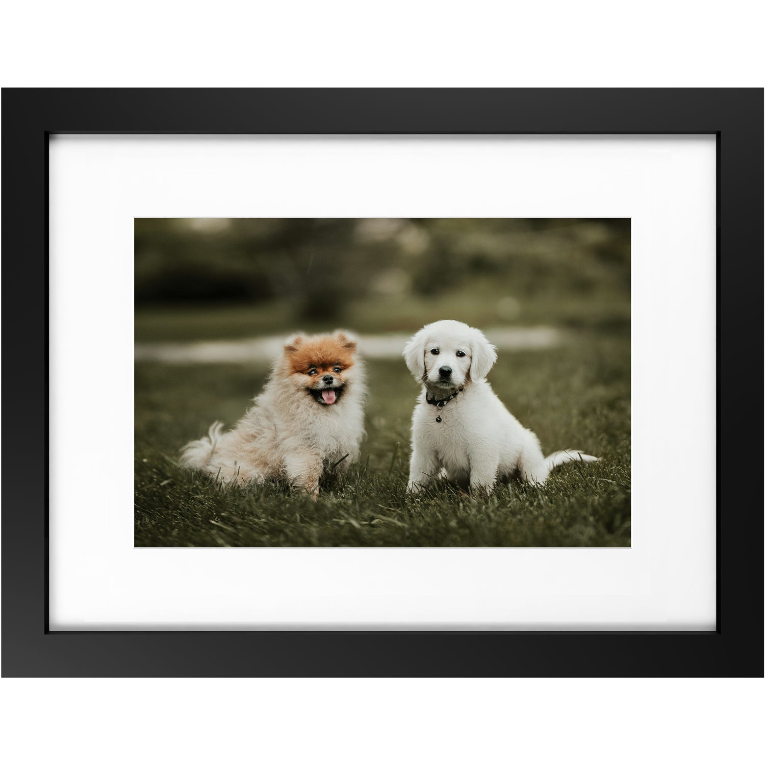 Custom 12x18 Framed Photo Print