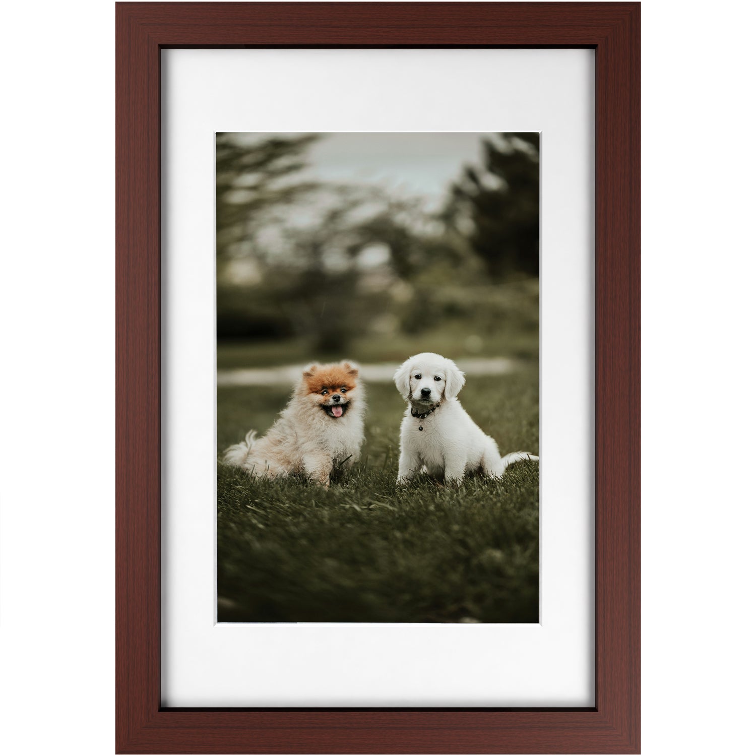 Custom 12x18 Framed Photo Print