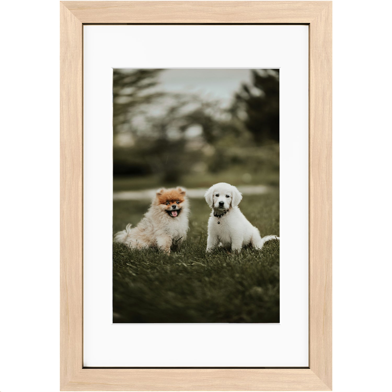 Custom 12x18 Framed Photo Print