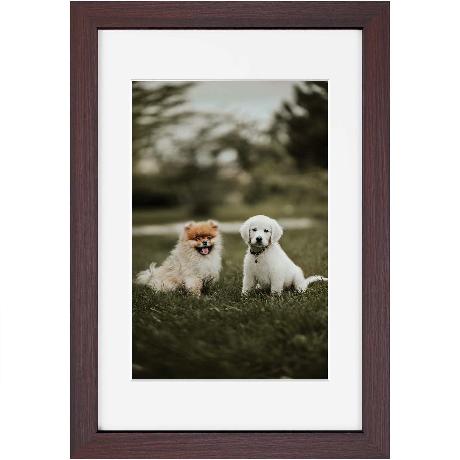 Custom 12x18 Framed Photo Print