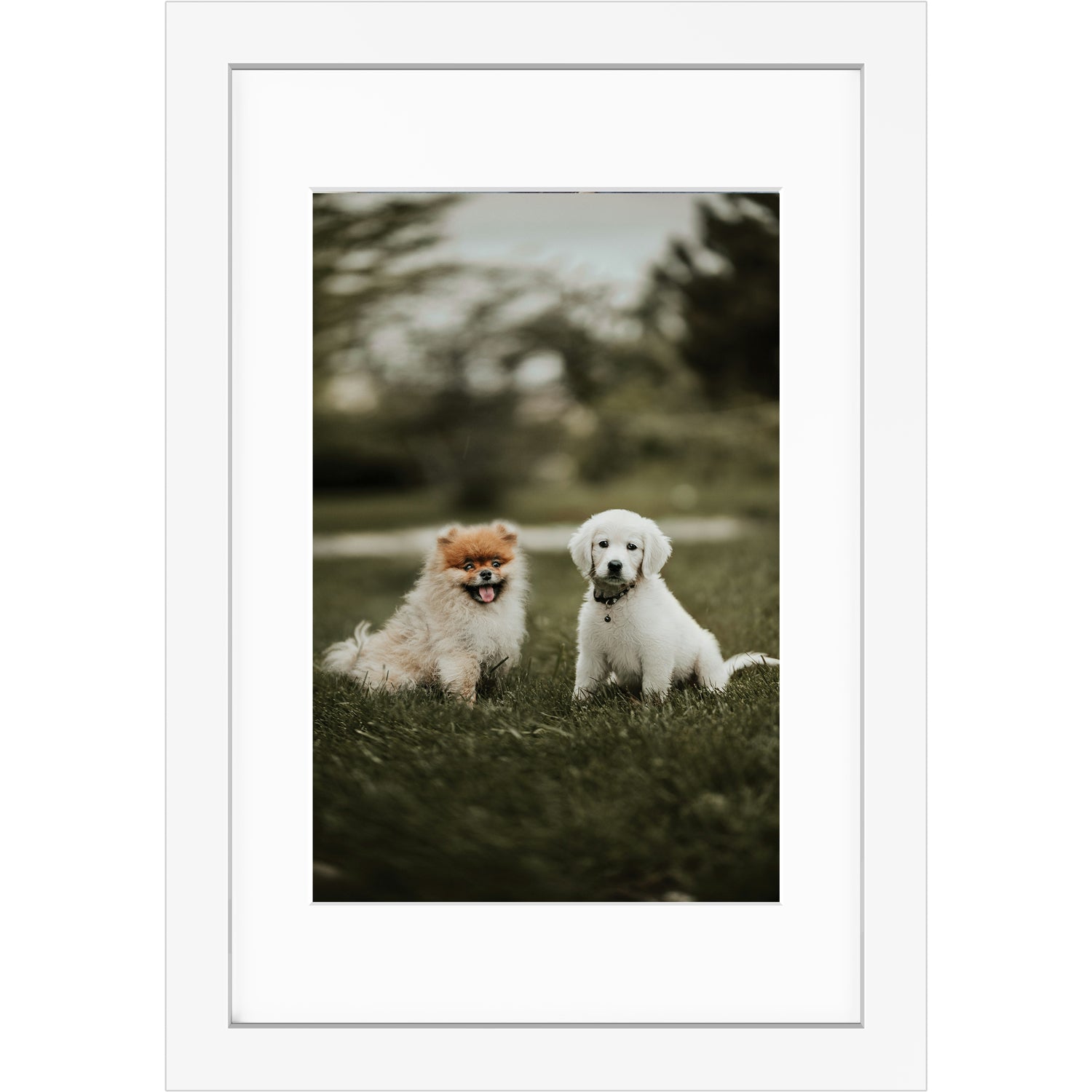 Custom 12x18 Framed Photo Print