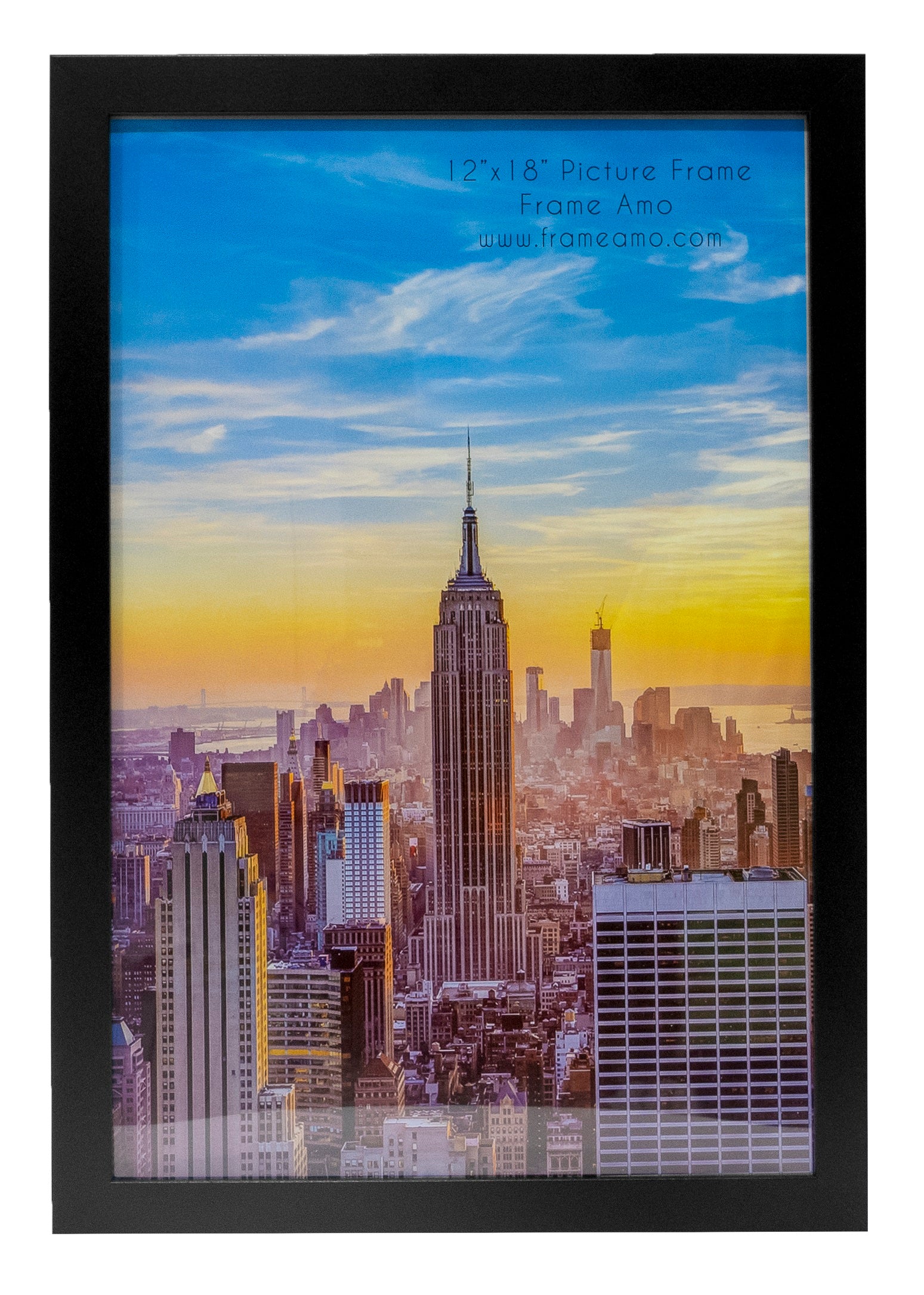 12x18 Modern Picture or Poster Frame, 1 inch Wide Border, Acrylic Front