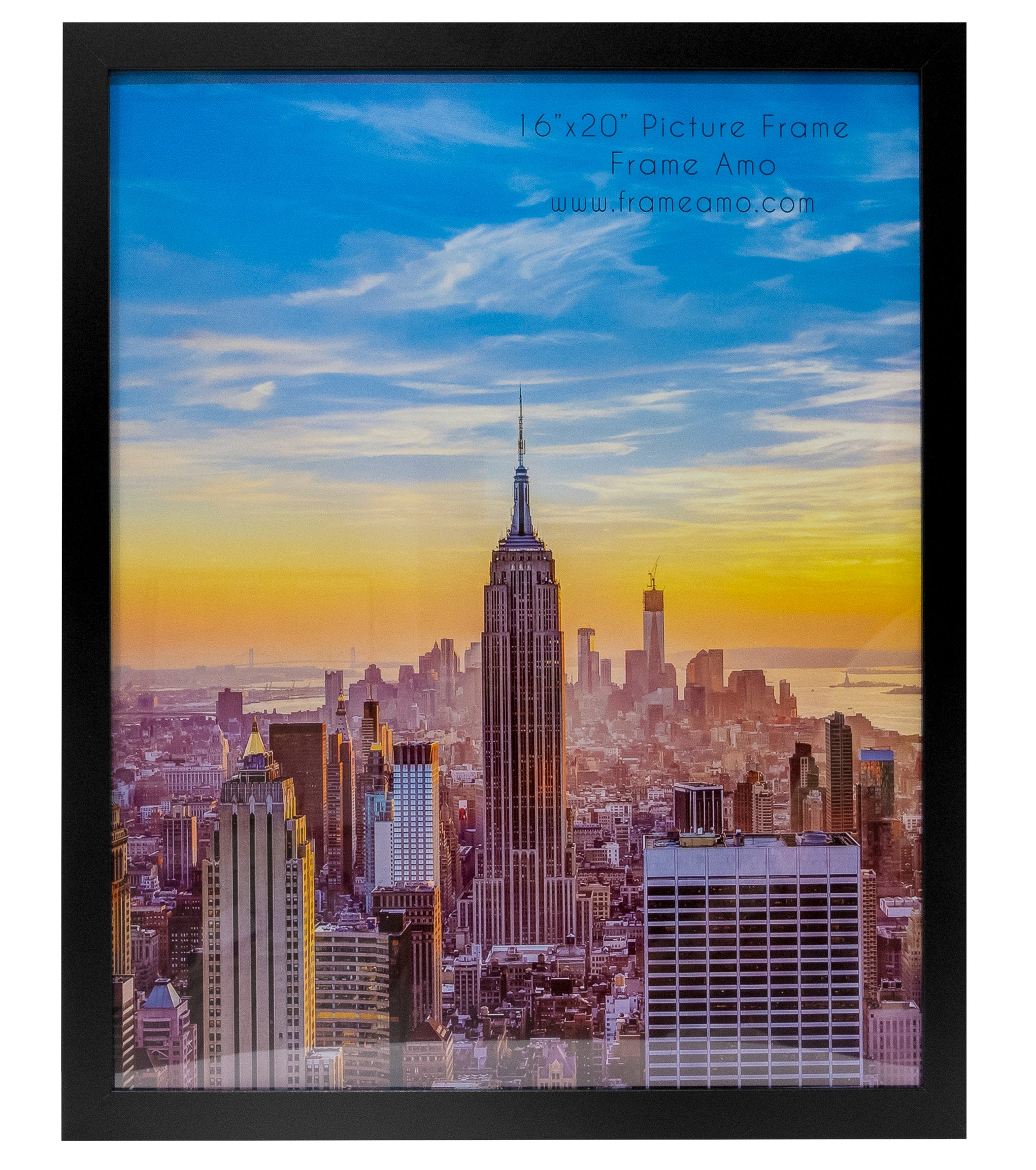 16x20 Modern Picture or Poster Frame, 1 inch Wide Border, Acrylic Front