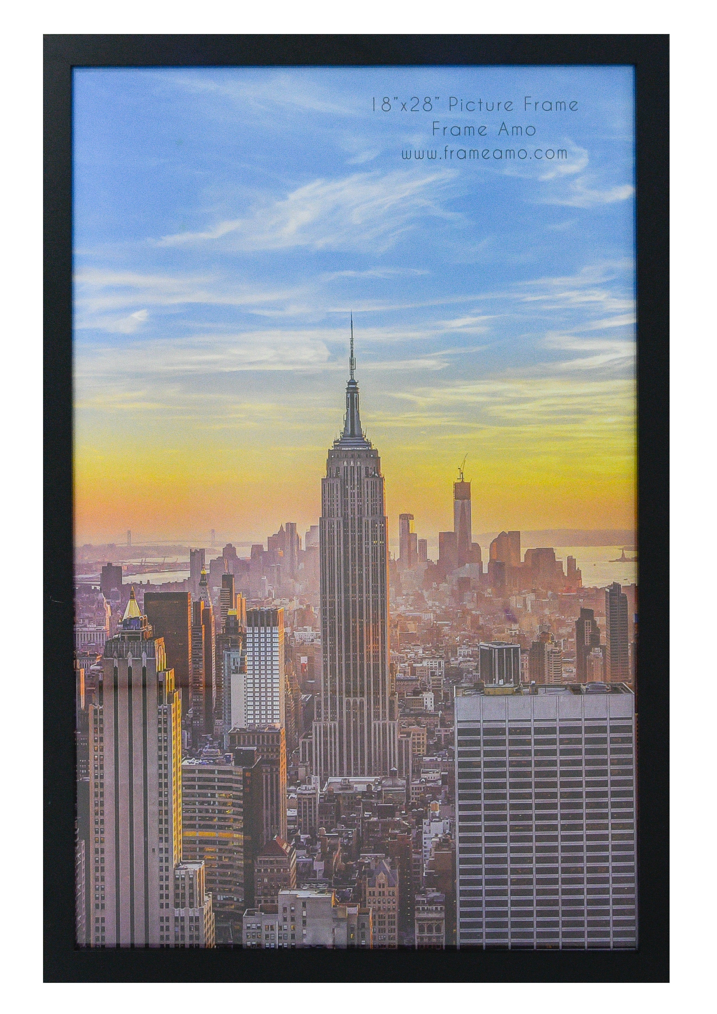 18x28 Modern Picture or Poster Frame, 1 inch Wide Border, Acrylic Front