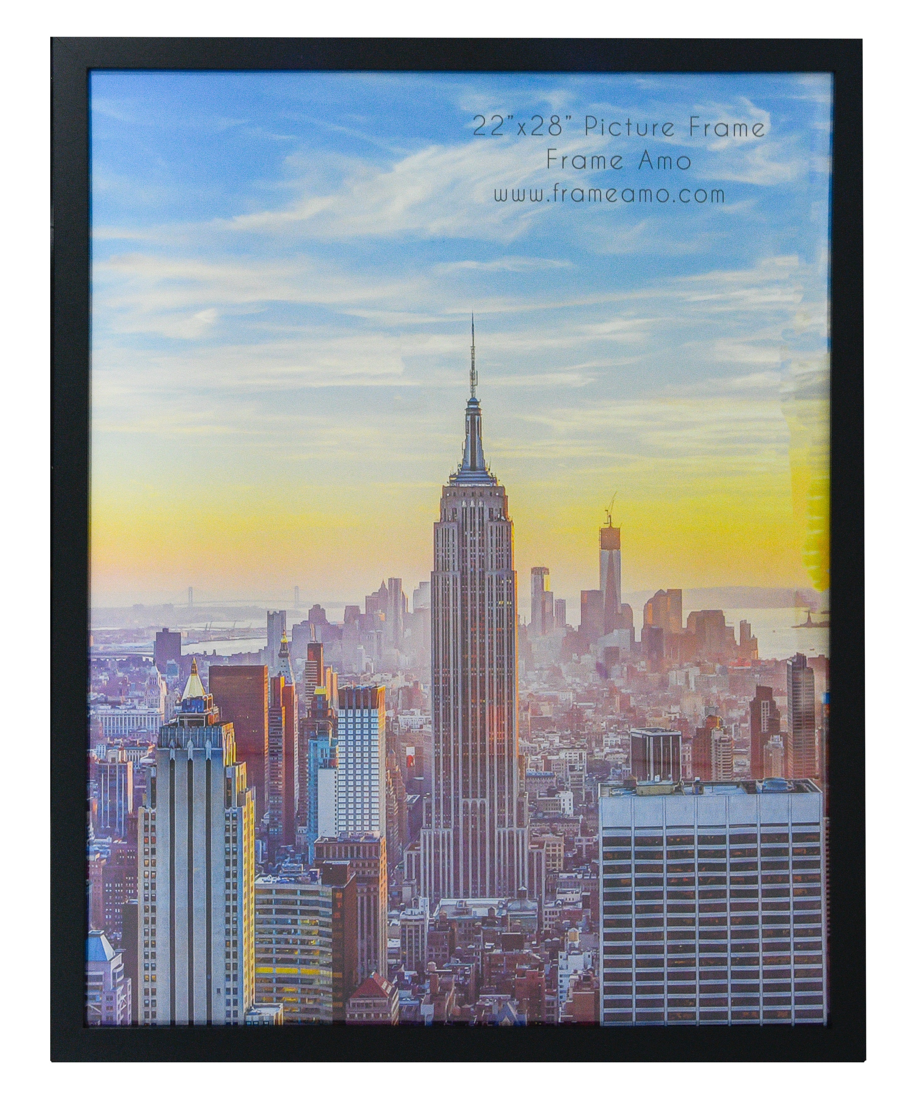 22x28 Modern Picture or Poster Frame, 1 inch Wide Border, Acrylic Front