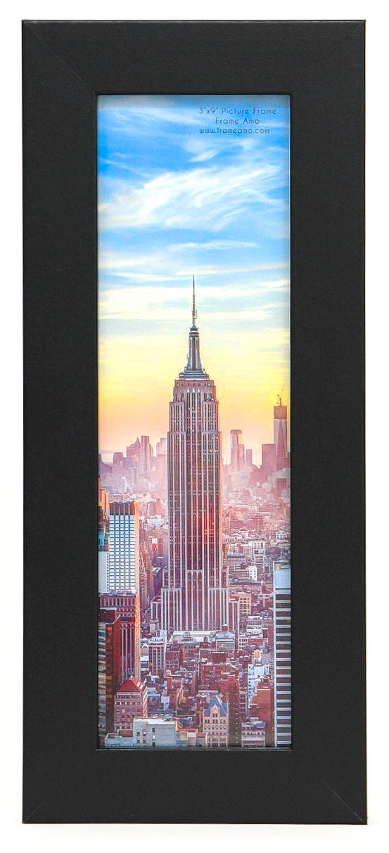 3x9 Black Modern Picture Frame, 1 inch Border, Glass Front, for Wall or Table