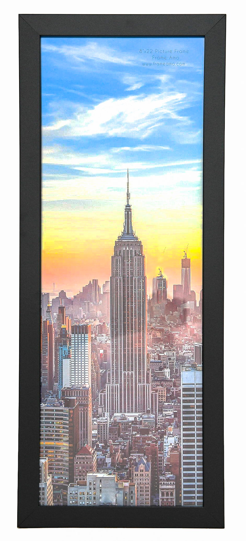 8x22 Black Modern Picture or Poster Frame, 1 inch Wide Border, Acrylic Front